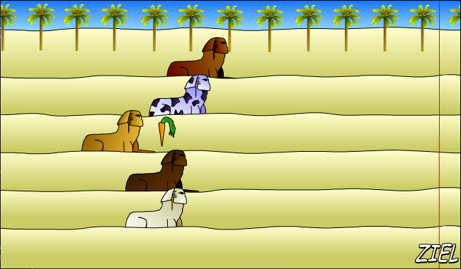 Sphinx Race