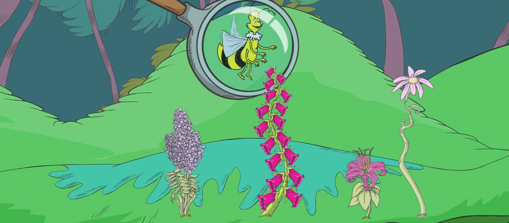 Flower Finder