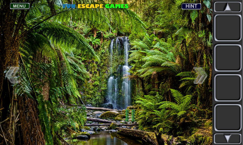 Rainforest Escape