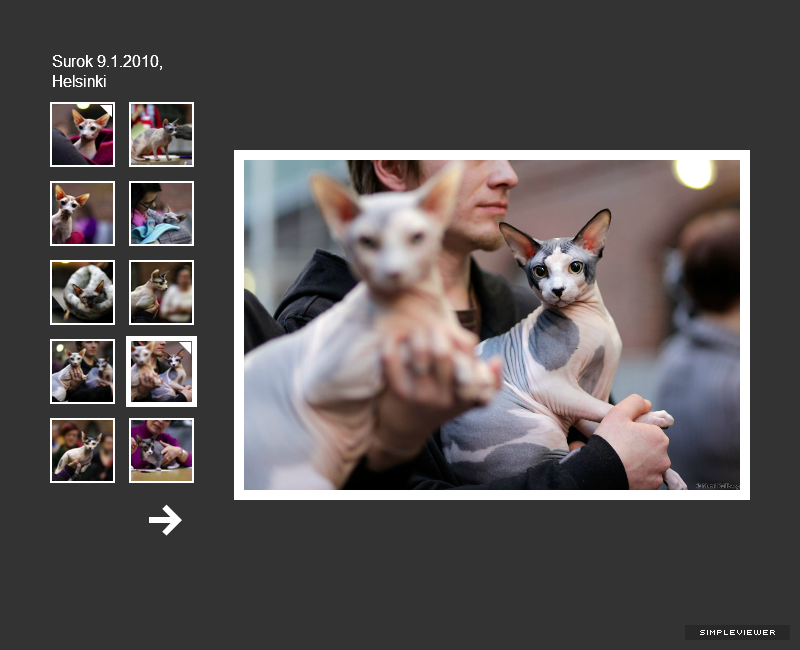 Surok 9.1.2010, Helsinki