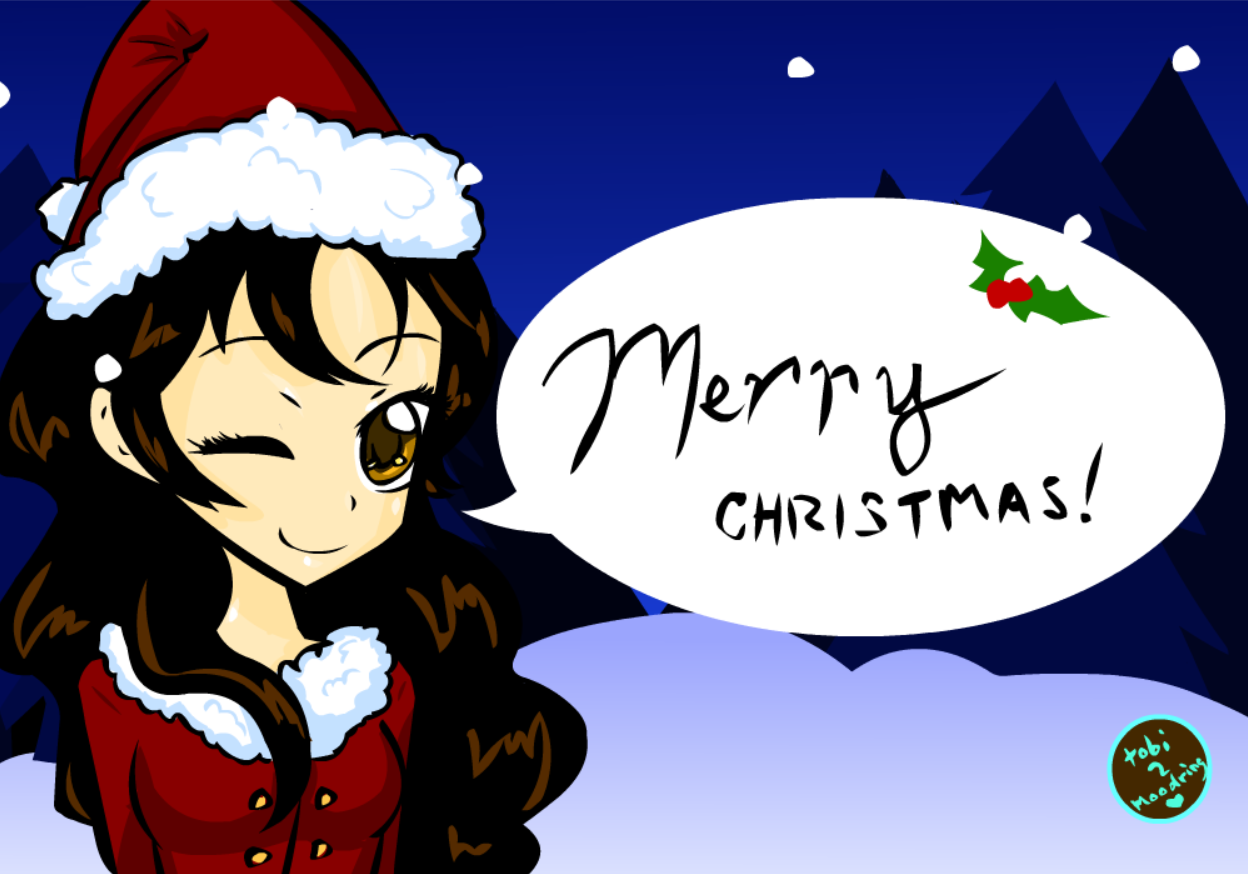 .+ Merry Christmas 2010 +.