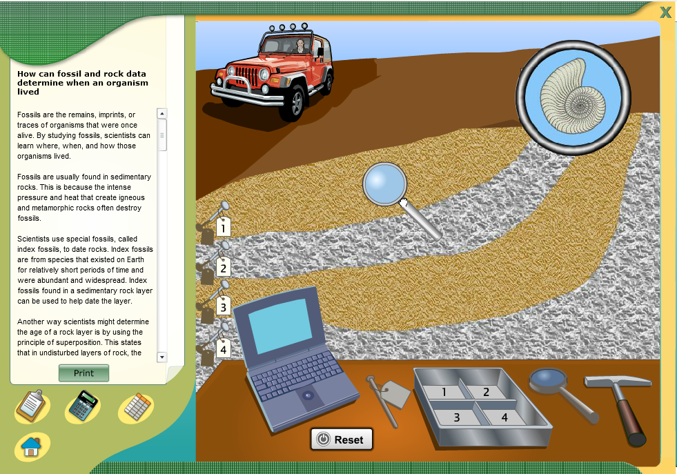 How can fossil and rock data determine when an organism lived?