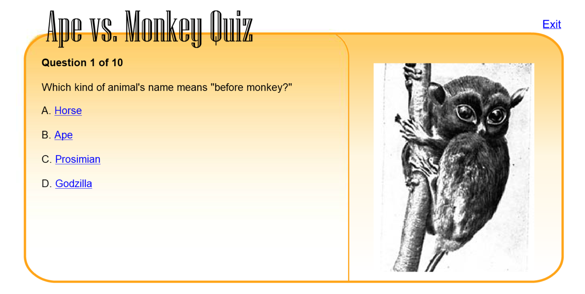 Ape Vs. Monkey Quiz