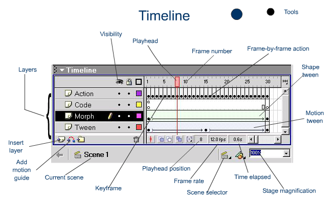 The Timeline