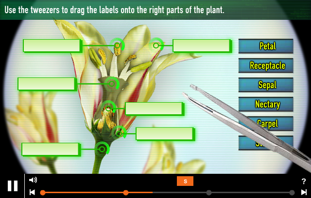 M.I.High: Plant Life Cycles