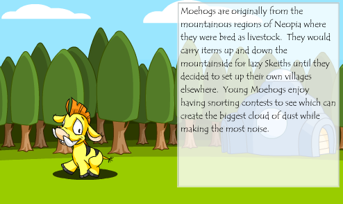 Neopet Preview: Moehog