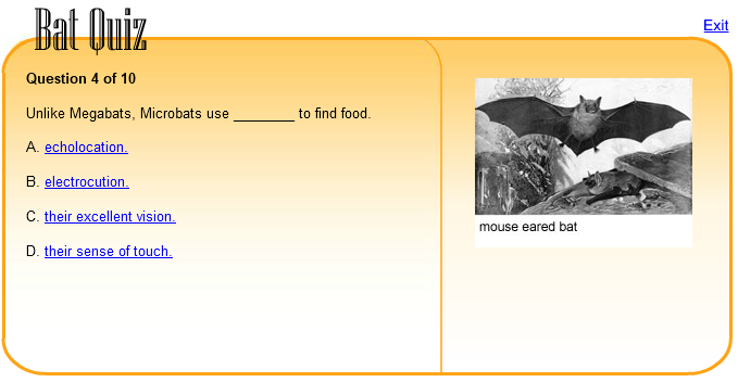 Bat Quiz