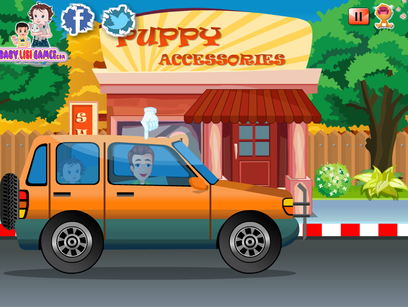 Baby Lisi Newborn Puppies