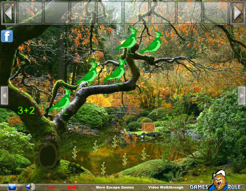 Japanese Garden Escape