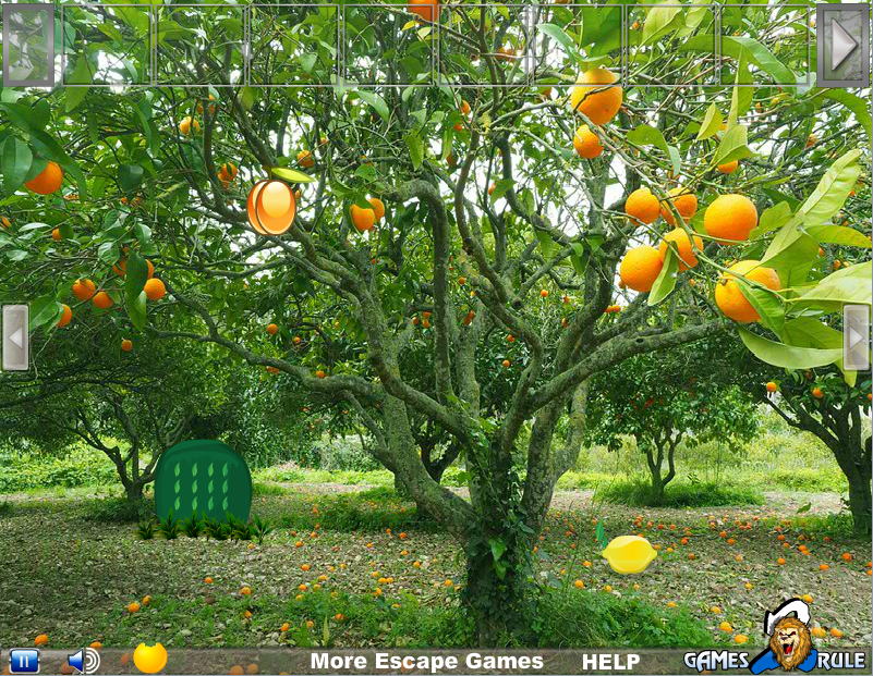 Orange Tree Forest Escape