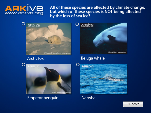 ARKive’s Climate Change Quiz