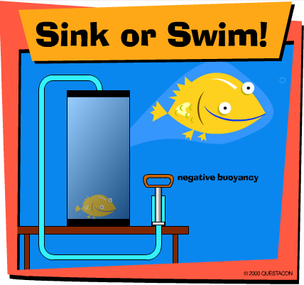Sink Or Swim!