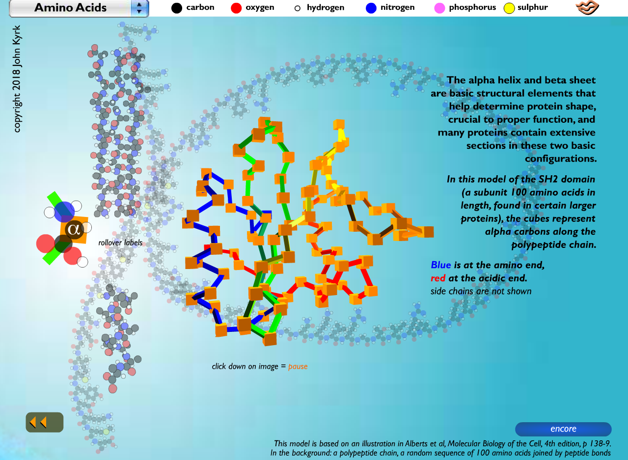 Amino Acids and Protein