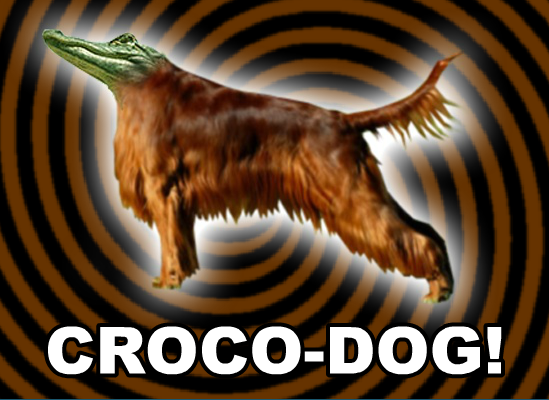 Croco-Dog!