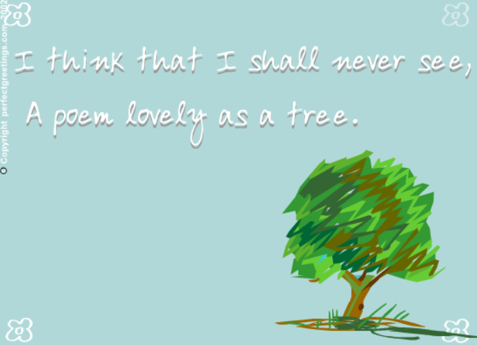 Celebrate Jewish Tu B'Shvat