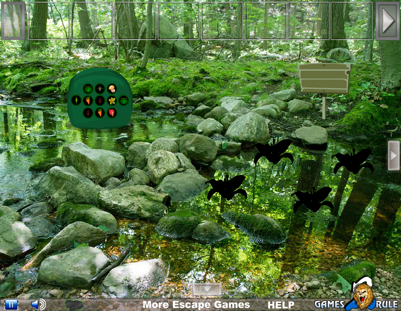 Trekking Rock Forest Escape