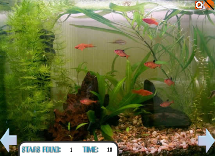 Hidden Stars: Aquarium