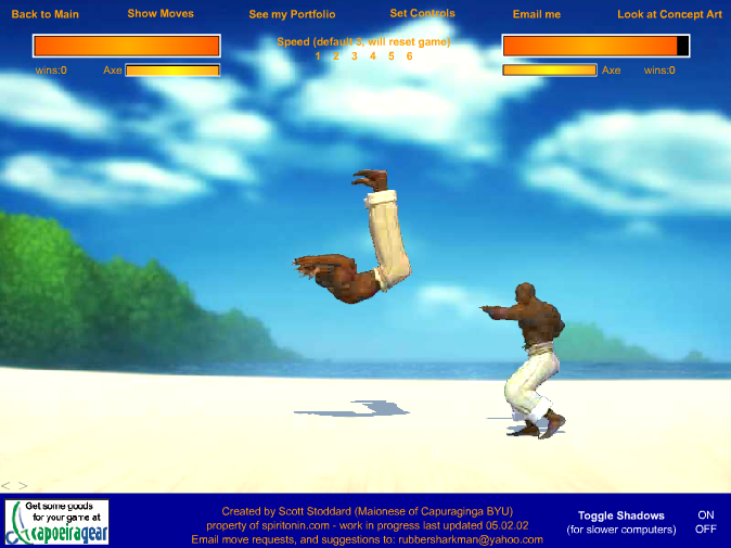 Capoeira Fighter