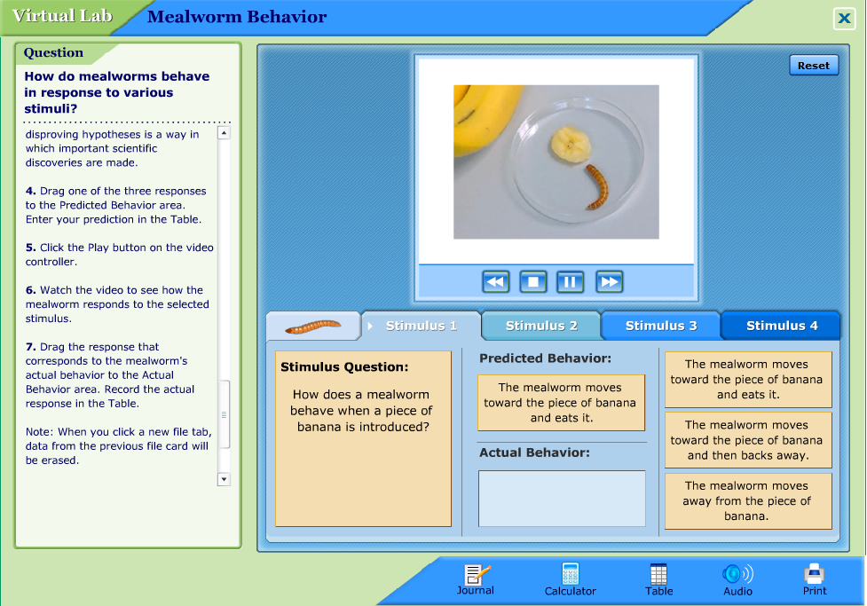 Mealworm Behavior