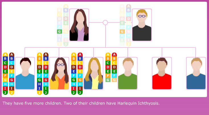 Gene Finder