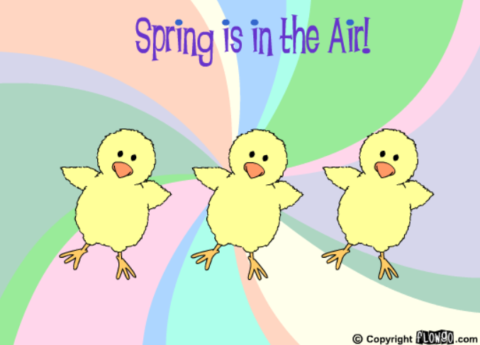 The Spring Chickies Dance