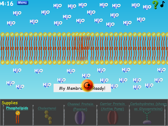 Cell Defense: The Plasma Membrane