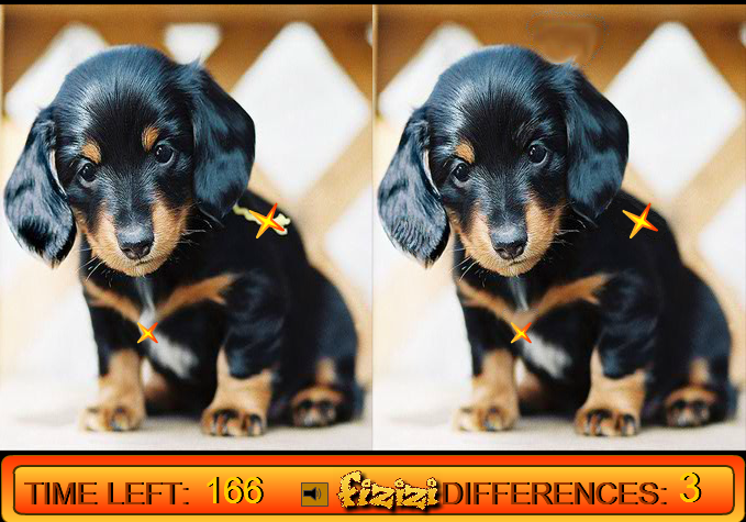 Differences in Puppy Land