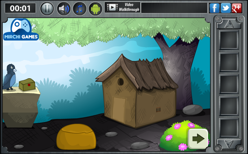 Secret Mountain Forest