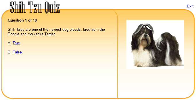 Shih Tzu Quiz