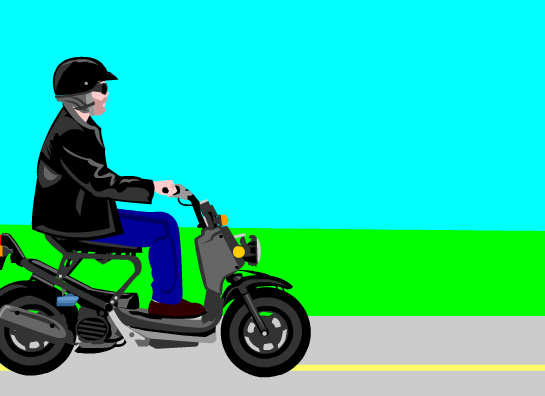 Ruckus Reflections $ Per Gallon