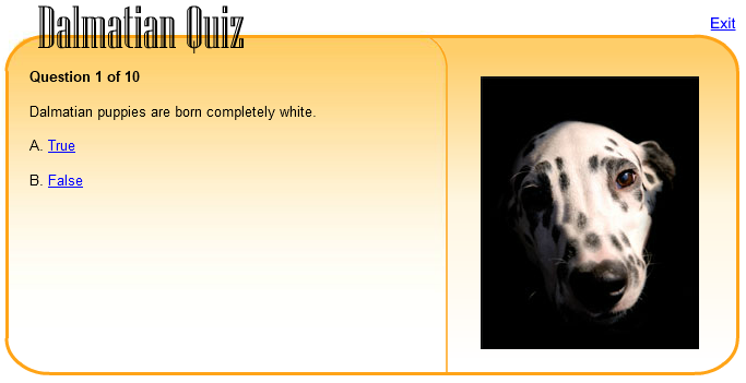 Dalmatian Quiz