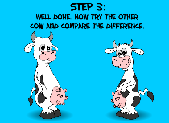 Take The Mad Cow Test