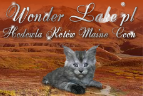 Wonder Lake*PL Banner Ad