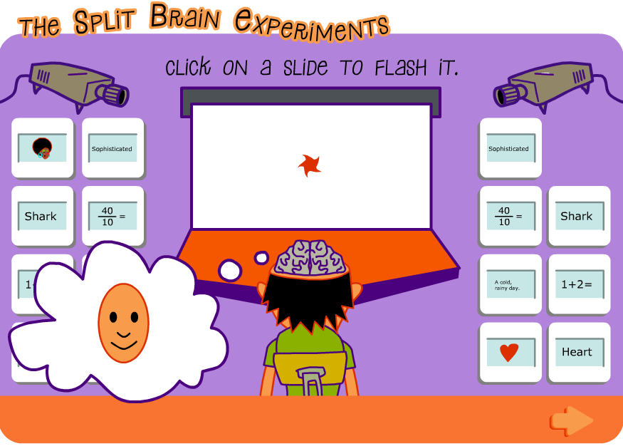 The Split Brain Experiments