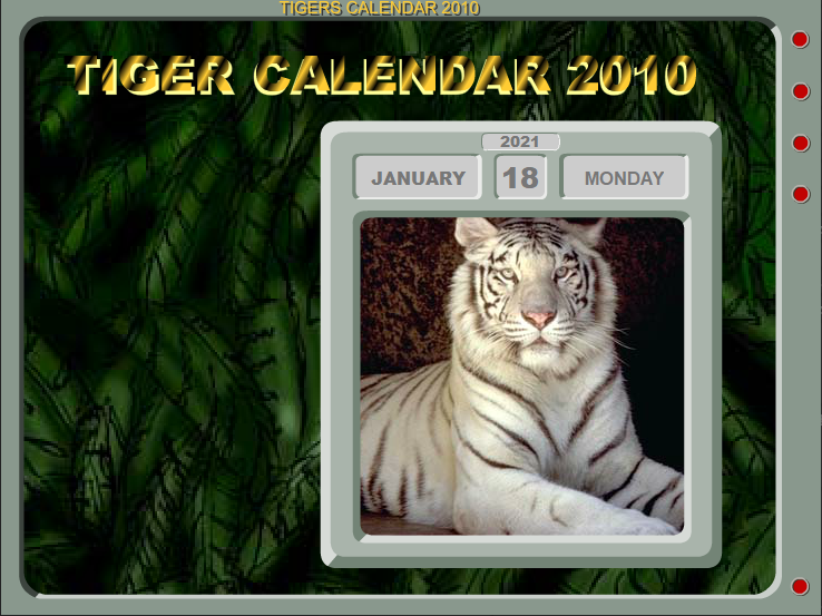 Tiger Calendar 2010