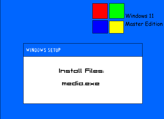 Windows 11 Master Edition Setup