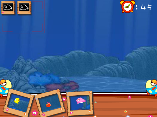 Dora Fish Photography