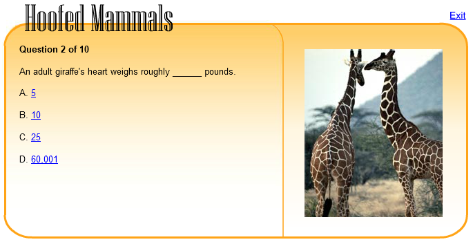 Hoofed Mammals Quiz