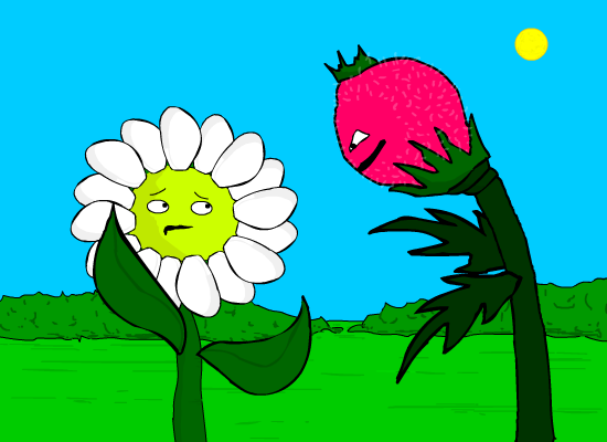 How your garden grows