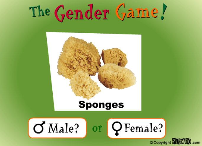 The Gender Game