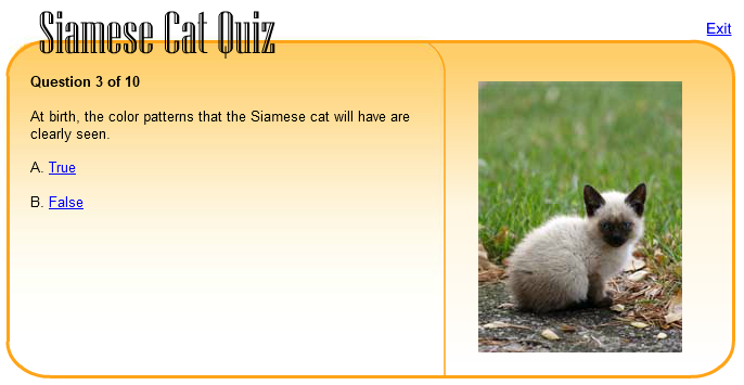 Siamese Cat Quiz