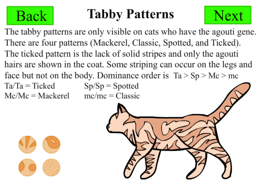 The Genetics of Cat Color and Pattern
