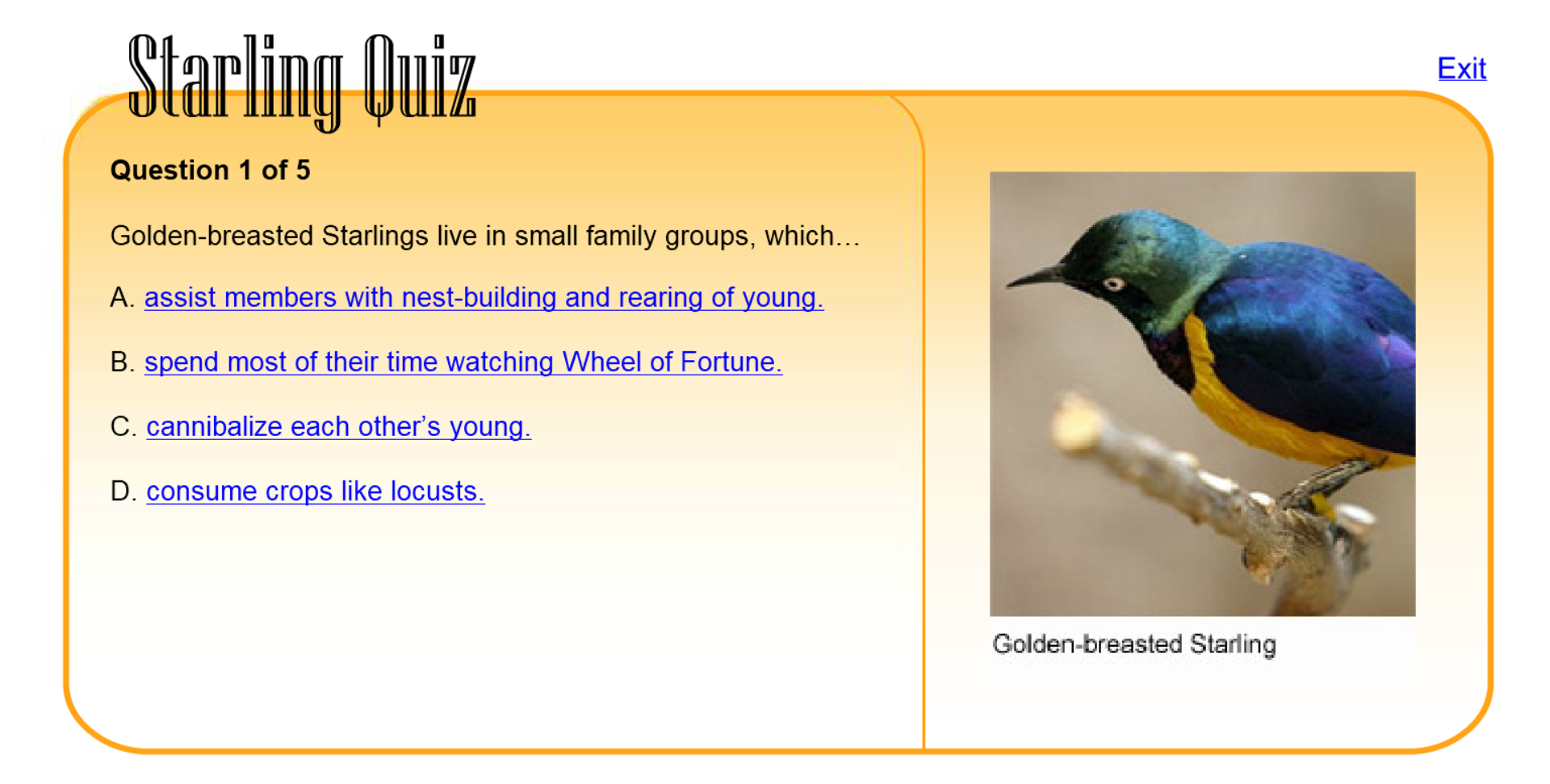 Starling Quiz