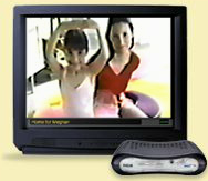 msntv_animation_pc.swf