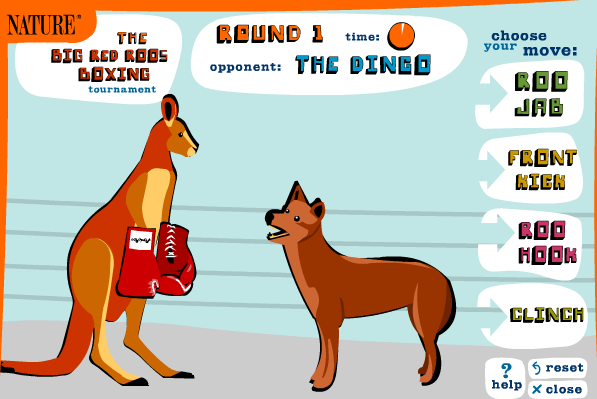 Big Red Roo's Boxing Tournament