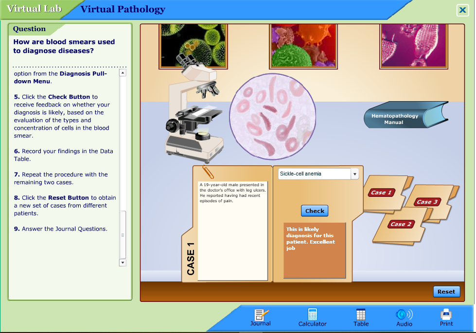 Virtual Pathology