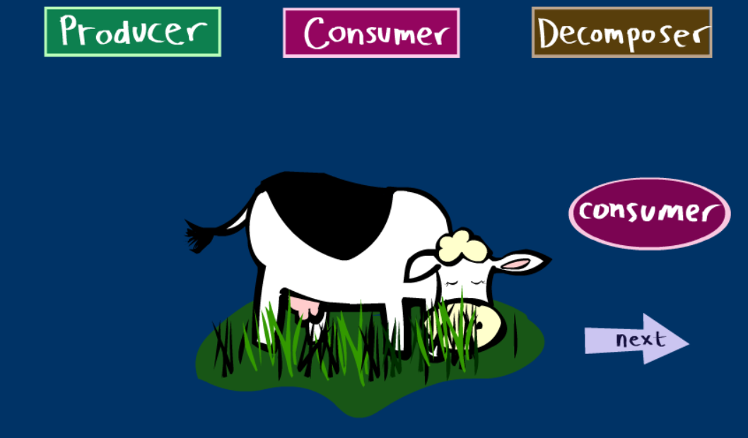 The Producers Consumers Decomposers Game