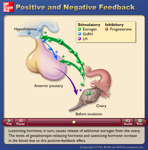 Positive and Negative Feedback