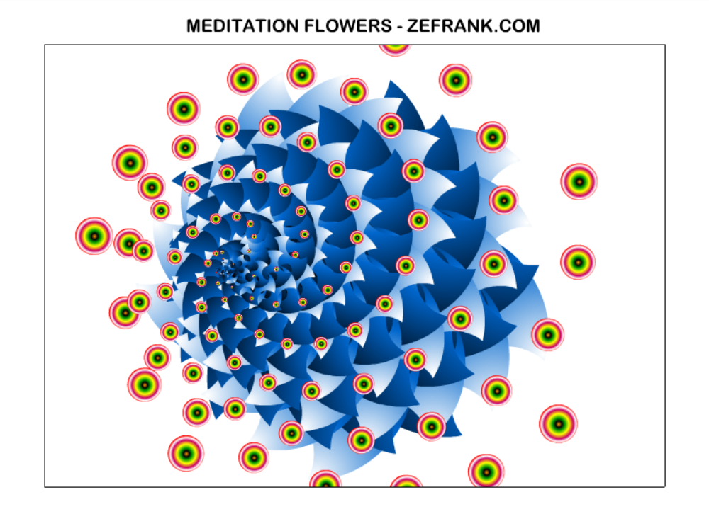 meditation flowers