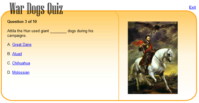 War Dogs Quiz